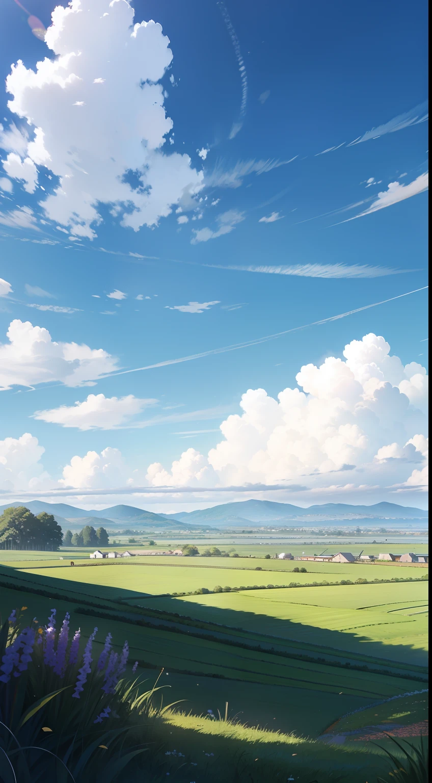 with blue sky and white clouds，Field，You can see the countryside in the distance