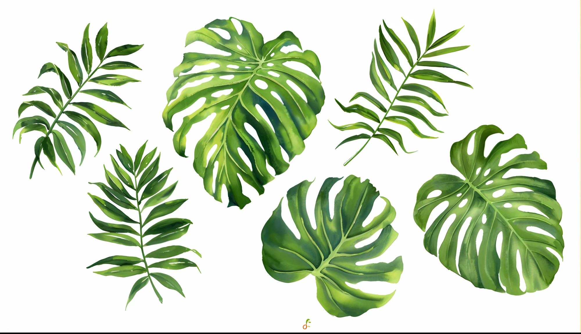 um close up de um monte de folhas verdes em um fundo branco, folhas tropicais, folhagem tropical, Frondas, Plantas tropicais, Monstera, muitas folhas, Folhas, folhas grandes, botanic foliage, folhas altamente detalhadas, folhas verdes, folhas muito detalhadas, Folhas, Architectural and Tom Leaves, tropical houseplants, plant patterns, Monstro delicioso, folhas verdes altamente detalhadas