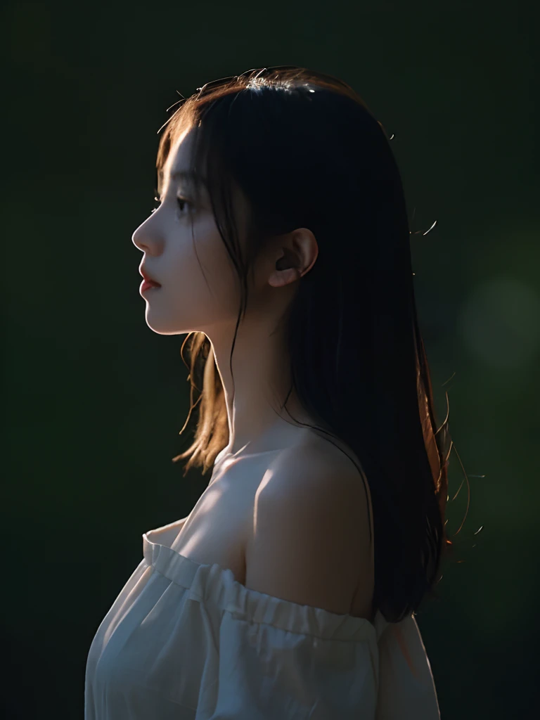 top-quality、​masterpiece、超A high resolution、(Photorealsitic:1.5)、Raw foto、1girl in、Half Japan and half American、off shoulders、murky、deep-shadows、cold light、Sexy appearance、Mysterious look、profile
