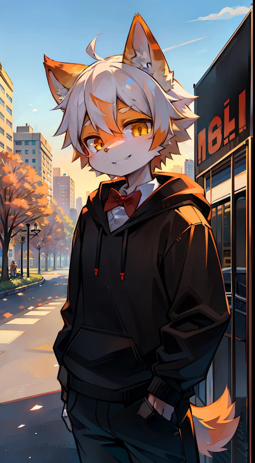 Solo, kemono, femboy, orange and white hair, yellow eyes, wear red bow tie, wear black hoodie, wear black pants, look at camera, smile with tooth, right hand grabbing ice cream, standing in front of ice cream truck, park and city background, noon time