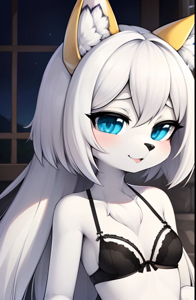(furry:1.2), foco no corpo, peitos medios belas luzes e sombras, cabelo branco curto, olhos azuis, pelo branco fofo, ajoelhada no chao, lingerie rendada, envergonhada, cauda fofa, fundo de quarto fofo