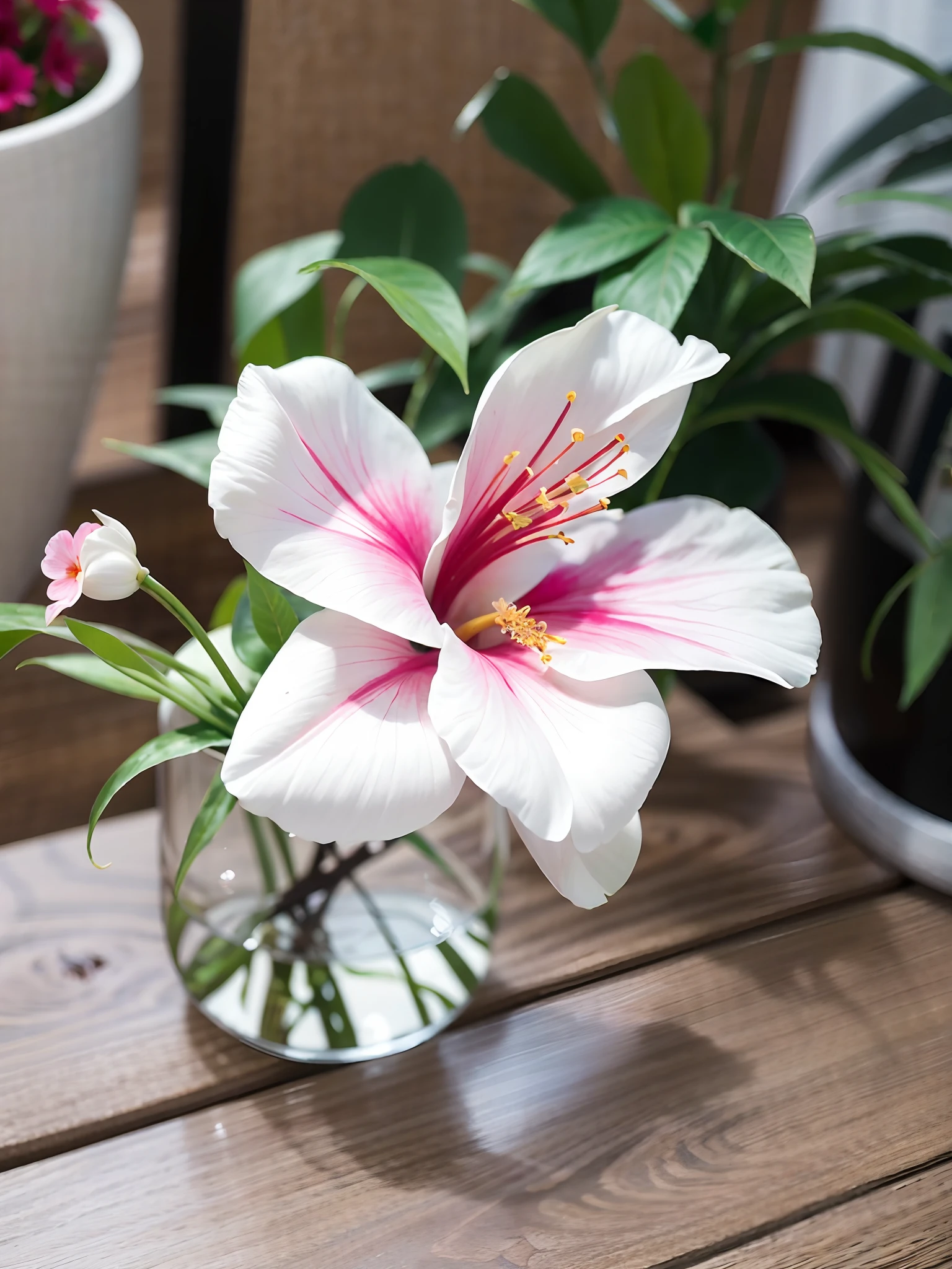 There is a white and pink flower in the vase on the table, hibiscus, Hibiscus flower, baroque hibiscus queen, taken with sony alpha 9, beautiful  flowers, tropical flower plants, blooming tropical flowers,watercolor paiting，Thick brush strokes