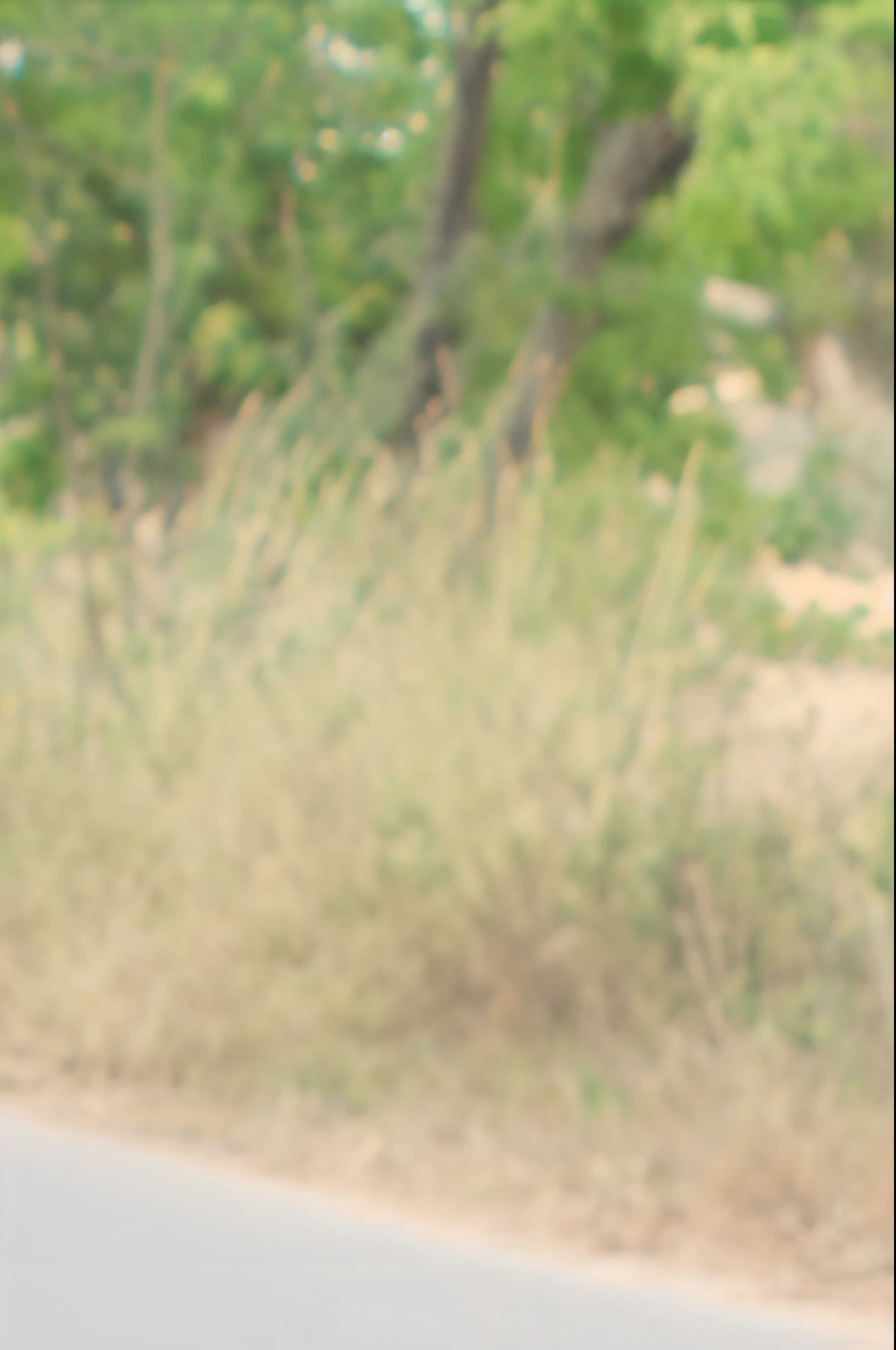 there is a man sitting on the side of the road with his feet on the ground, very artistic pose, very cool pose, cool pose, with a cool pose, stylish pose, standing in road, really cool pose, doing an elegant pose, on a road, various poses shooting photos, attractive pose, casual pose, in an action pose, awesome pose, satisfied pose