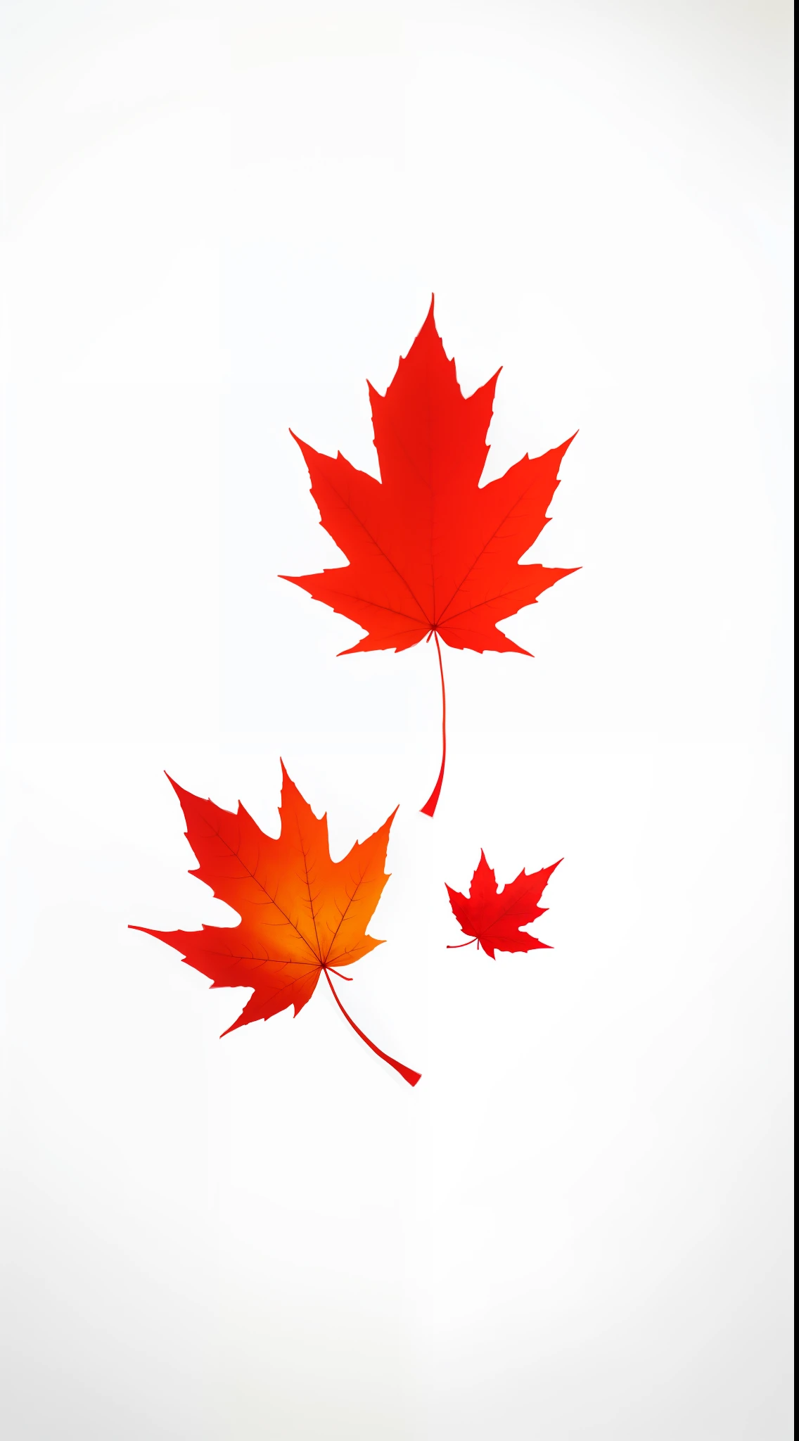 A maple leaf in one hand,white backgrounid,minimal style,2.5D illustration,Flat illustration