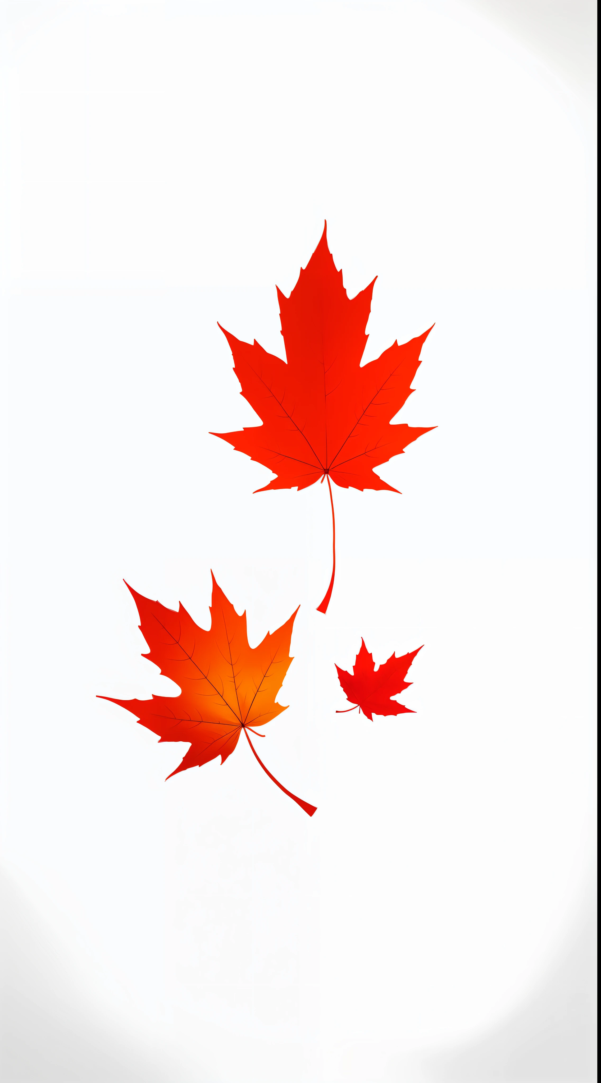 A maple leaf in one hand，white backgrounid，minimal style，2.5D illustration，Flat illustration