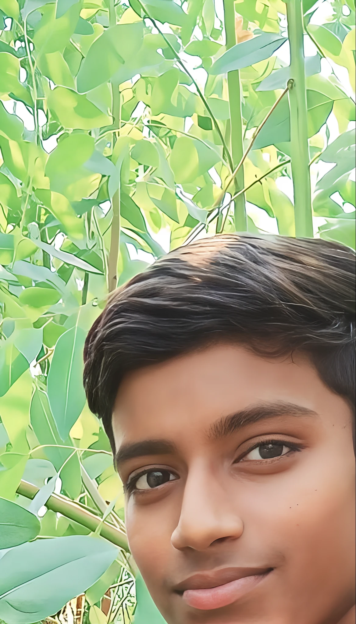 there is a young man that is posing for a picture, jayison devadas, around 1 , vastayan, ayan nag, 1 7 - year - old boy thin face, riyahd cassiem, in front of a forest background, very clear picture, with accurate face, very very low quality picture, facebook profile picture, vinayak, selfie photo