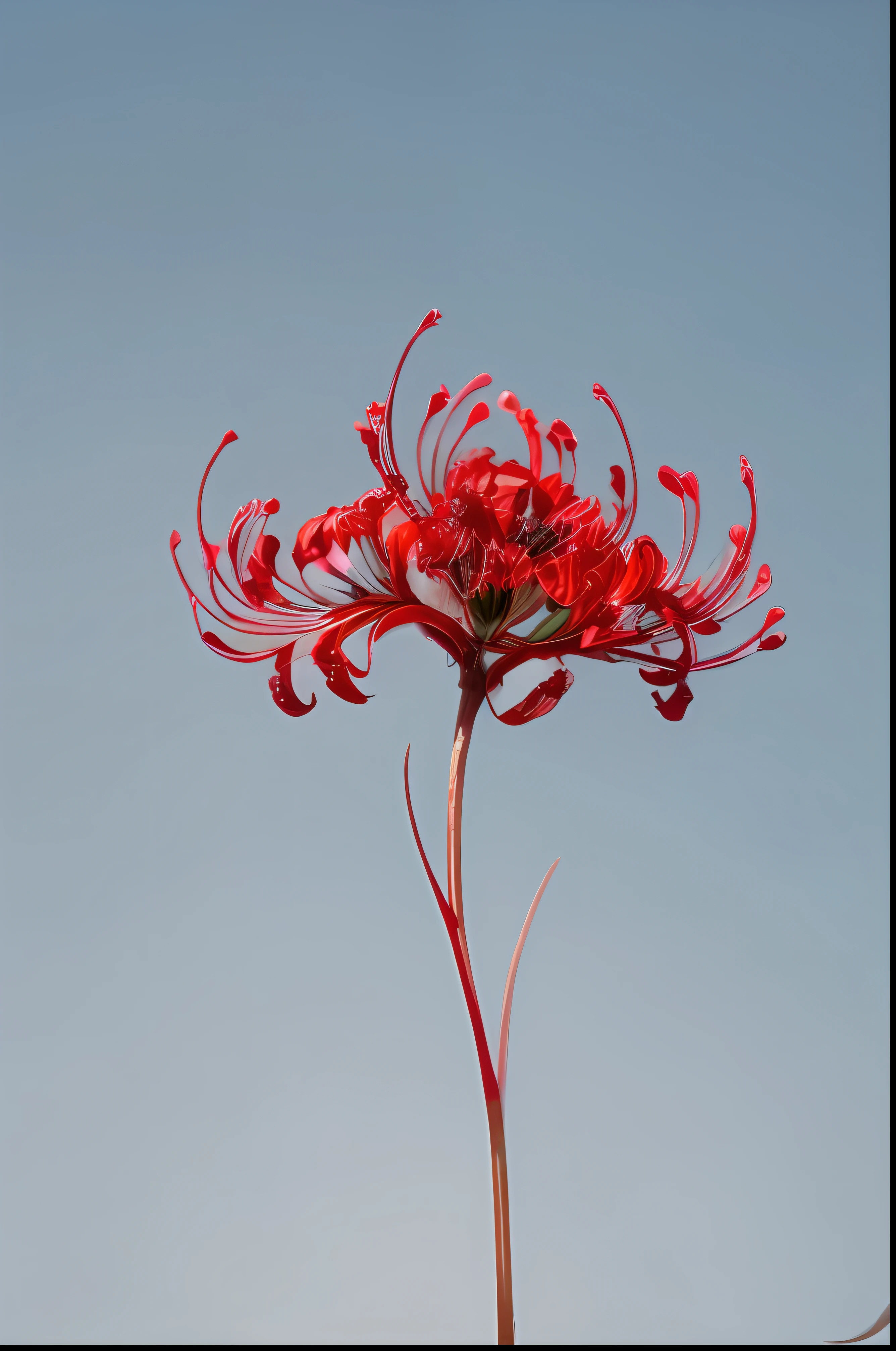 There are 3 red garlic flowers,The background is blue sky, Red flower, Red blooming garlic flowers, staggering in its beauty, Red flowers, taken with sony alpha 9, red colour, Fine red veins, Shot on Sony Alpha DSLR-A300, shot on 1 5 0 mm, botanical photo, alien flowers, vibrant red colors