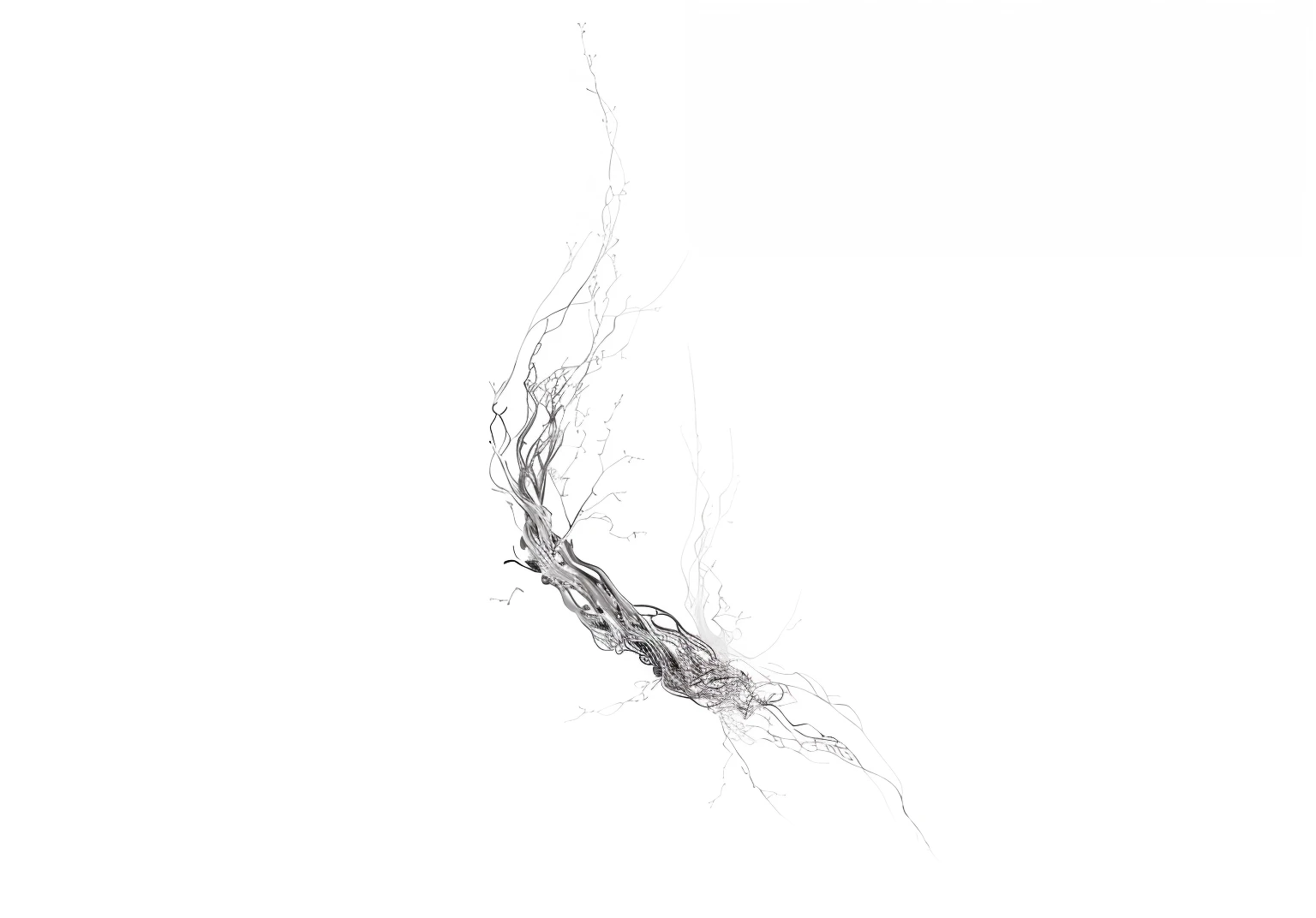 generative line art, twisting organic tendrils, Twisted withered vines, Fluid， composed of random limbs, an abstract drawing, Summary of branch composition, , houdini algorithm generative art, Around the branches, dendrites, dark ，particulate，Texture