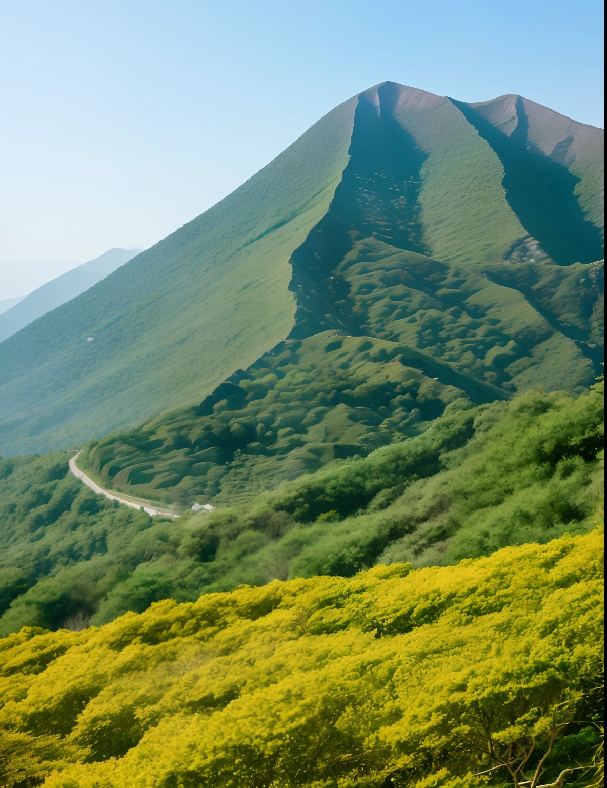 Swagger Mountain,It towers high on the western seashore,Large fields of laurel trees grow on the mountain,The mountains are rich in metal and jade。There is grass in the mountains,It looks a lot like a leek,Blossom cyan flowers