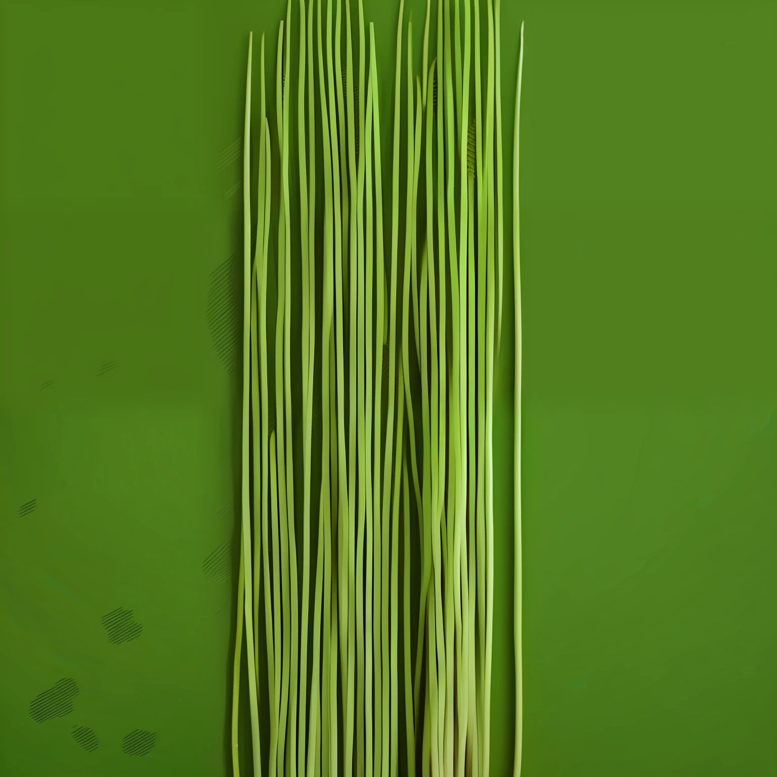 dual horsetail