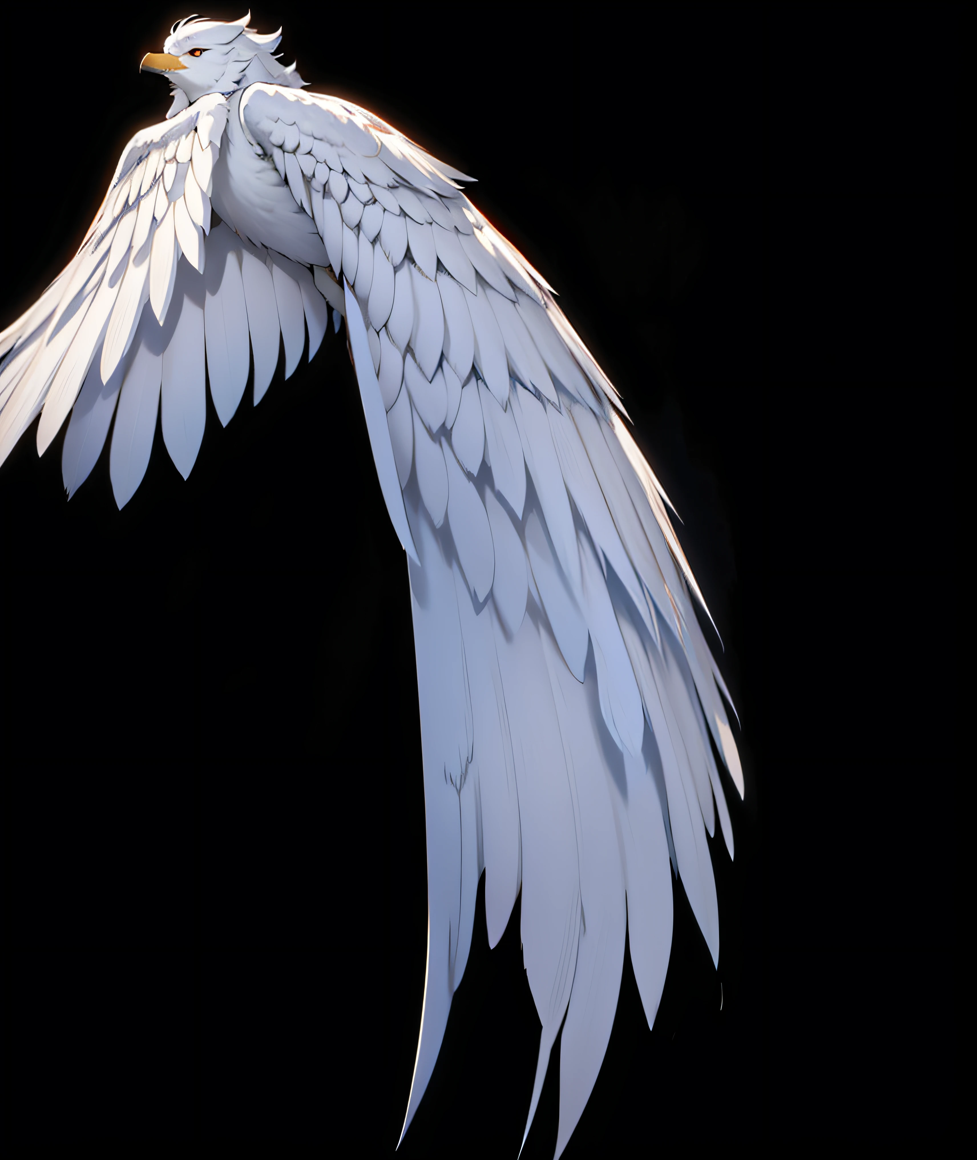 White wings,feater,divino,Holy