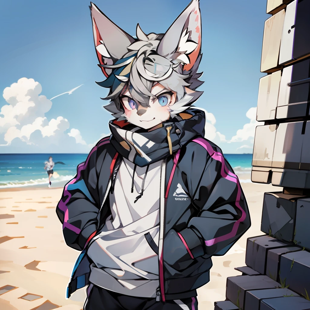 coyote,male people,Gray hair and hair,There are blue stripes on the abdomen,Purple eye,There are abs,White panties,Relatively robust,Gray storm jacket,solo person,Compare higher wolves,male people,Gray hair,There are blue stripes on the abdomen,Purple eye,Abs,Blue panties,inside in room,More robust,jogging, The tall,erected ,jogging,Strong,Tall ,skiny,sea beach,sandbeach