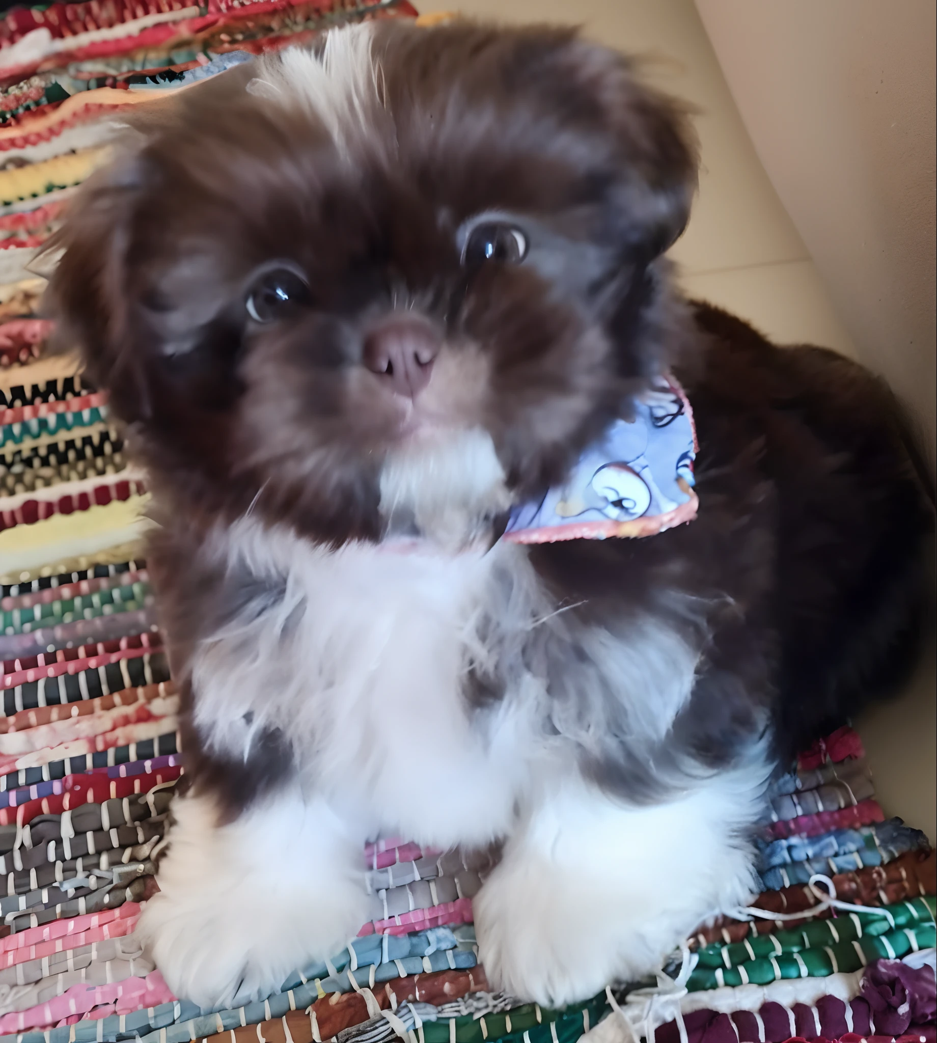 Happy Birthday to a happy furry baby, 4K HD Resolution, High quality image, award winning image, National Geographic picture with grainy background, award winning image, award winning image, hyperrealistic, high resolution, very detailed, award winning image, very detailed, HD Quality