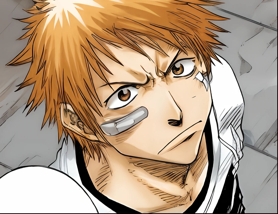 wanostyle, ichigo kurosaki bleach