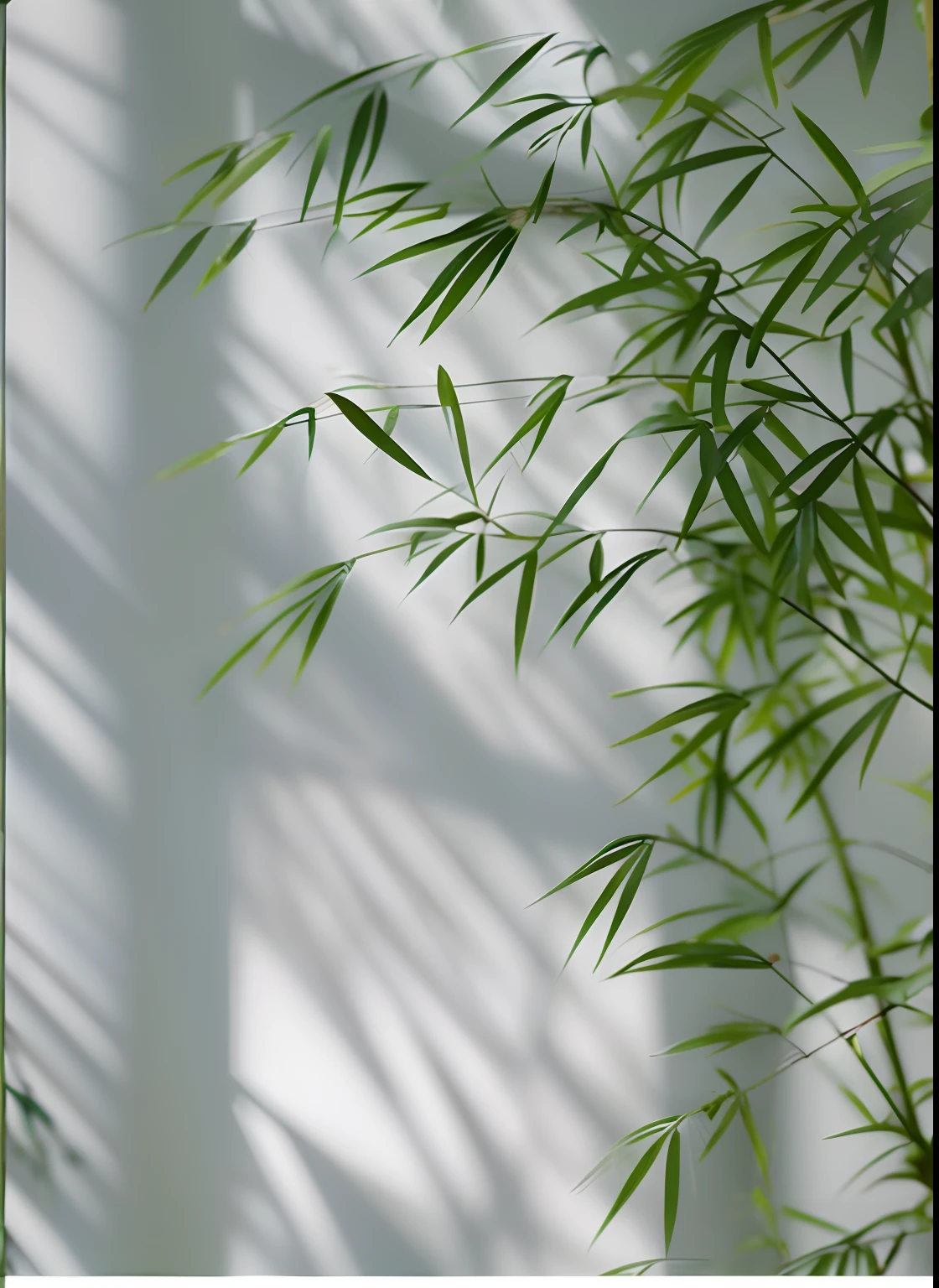 Close-up of leafy green plants on white wall, Bamboo, bamboos, natural indoor lighting, natural window lighting, Soft natural lighting, Soft morning lighting, Bamboo forest, soft natural volumetric lighting, Detailed natural lighting, botanic foliage, anna nikonova, morning lighting, made of bamboo, diffuse natural sun lights, soft green natural light