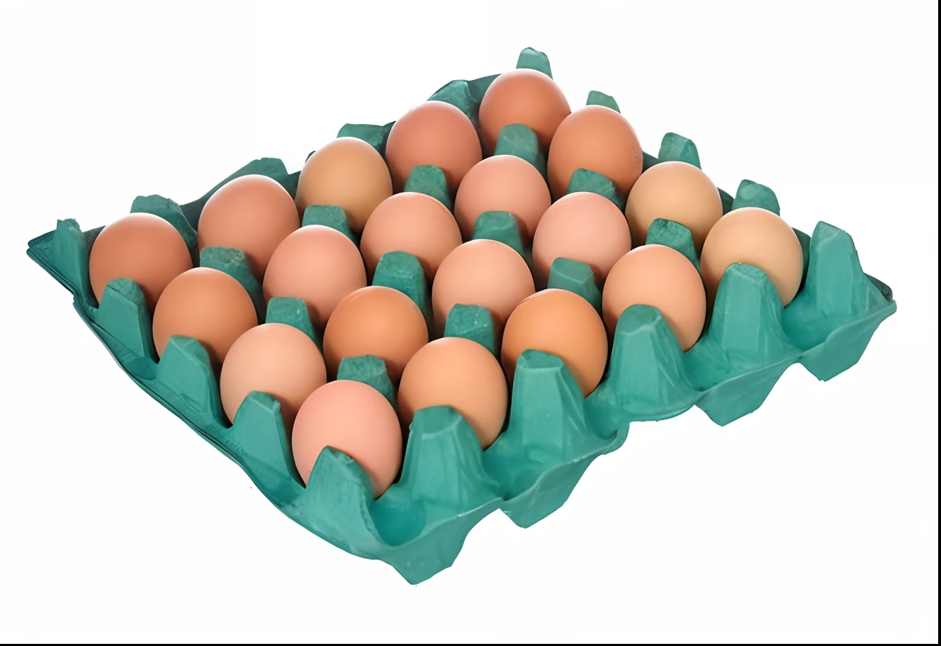 um close up de uma caixa de ovos em um fundo branco, ovo, ovo, translucent eggs, um ovo, Directed by: Juan O'Gorman, 2 5 anos, idade 3 0, cor da casca do ovo, Directed by: Stefan Gierowski, idade 3 5, idade 2 0, ovos verdes e presunto, frango, Directed by: Maeda Masao, gema, alta qualidade "