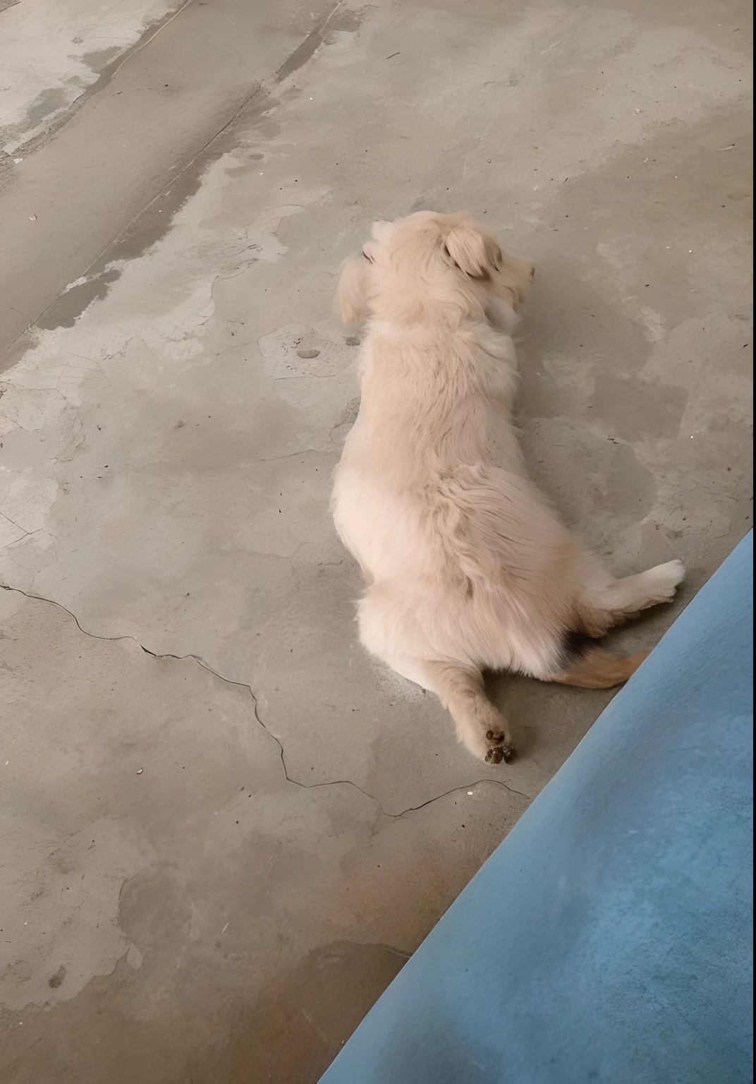 (best qualityer, tmasterpiece, cartoony, Stick figures, plethora of colors) (Recumbent puppy), adolable, White paws