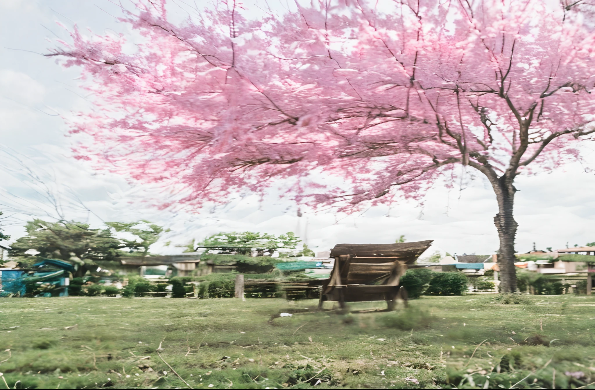 Landscape photograpy, HDRI, high quality, 4k