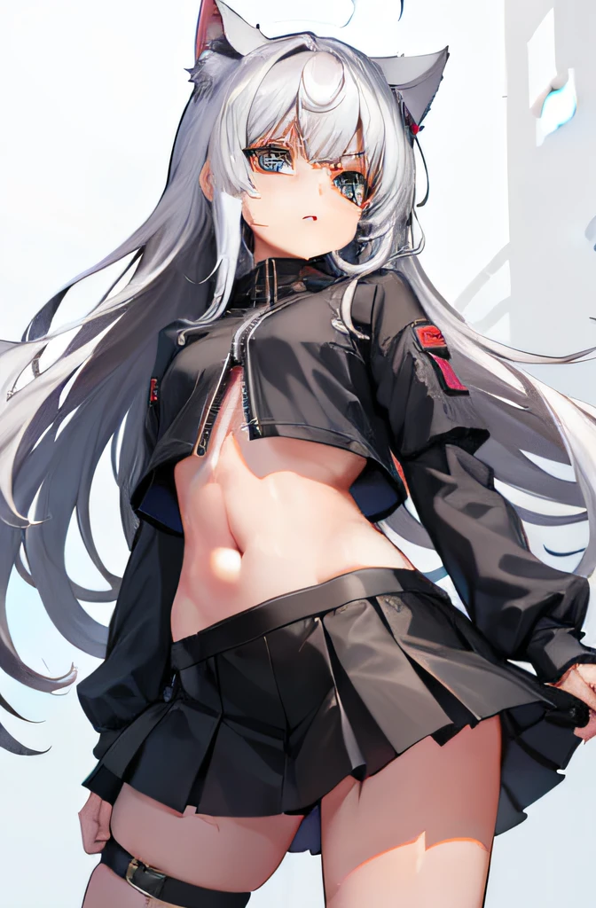 Girl with long hair with cat ears、Navel Ejection、a miniskirt、Gray hair、Background white