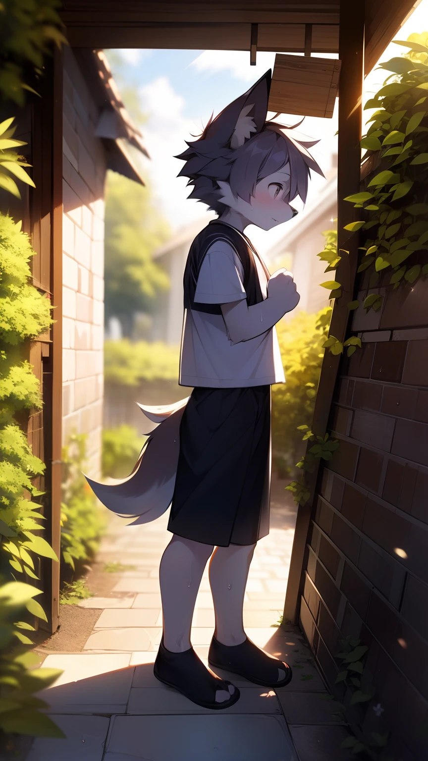 A wolf,Black-purple hair,Shota,White color blouse,Black shorts,Black pedal socks,Extreme light and shadow,extreme hight detail,Standing on the wet stone brick floor on a sunny day after the rain,and the sun was shining brightly,frontage,Under the sunlight,In the garden