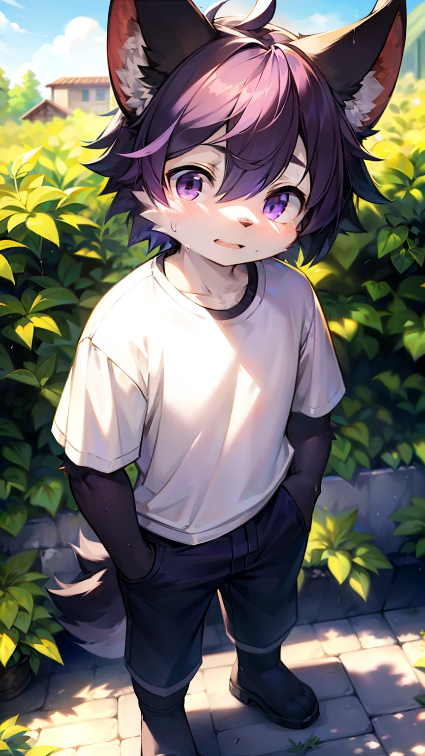 A wolf,Black-purple hair,Shota,White color blouse,Black shorts,Black pedal socks,Extreme light and shadow,extreme hight detail,Standing on the wet stone brick floor on a sunny day after the rain,and the sun was shining brightly,frontage,Under the sunlight,In the garden,solo person,black over-the-knee socks