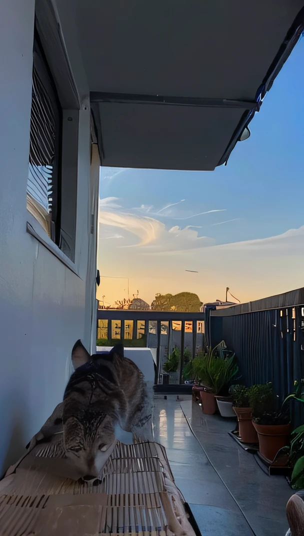 gato arafed sentado em uma mesa de madeira em uma varanda, tempo de frio. boa vista, postprocessed), foto do instagram, senta-se em um telhado, instagram post, Directed by: Emma Andijewska, in the sunset, watching the sunset, morning golden hour, during a sunset, tarde calma, sunsettime, Hangout da tarde, sunset mood, in the sunset