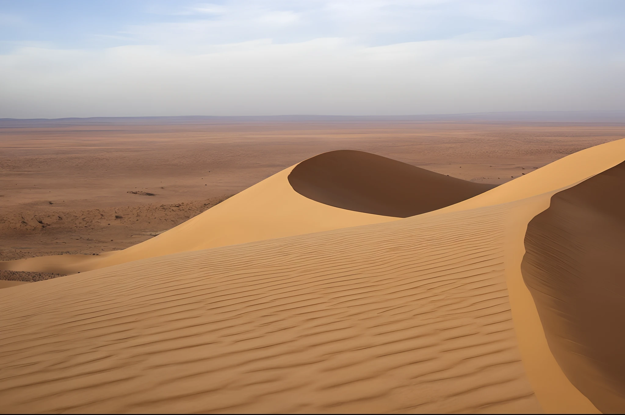 Snow desert