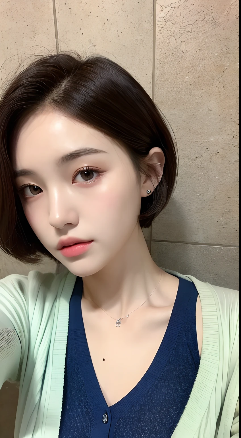 ((Top Quality, 8k, Masterpiece: 1.3)), 1 girl, Beauty with slender abs: 1.3, (Medium Short Hair), Cardigan: 1.1, Ultra Detailed Face, Detailed Eyes, Double Eyelids