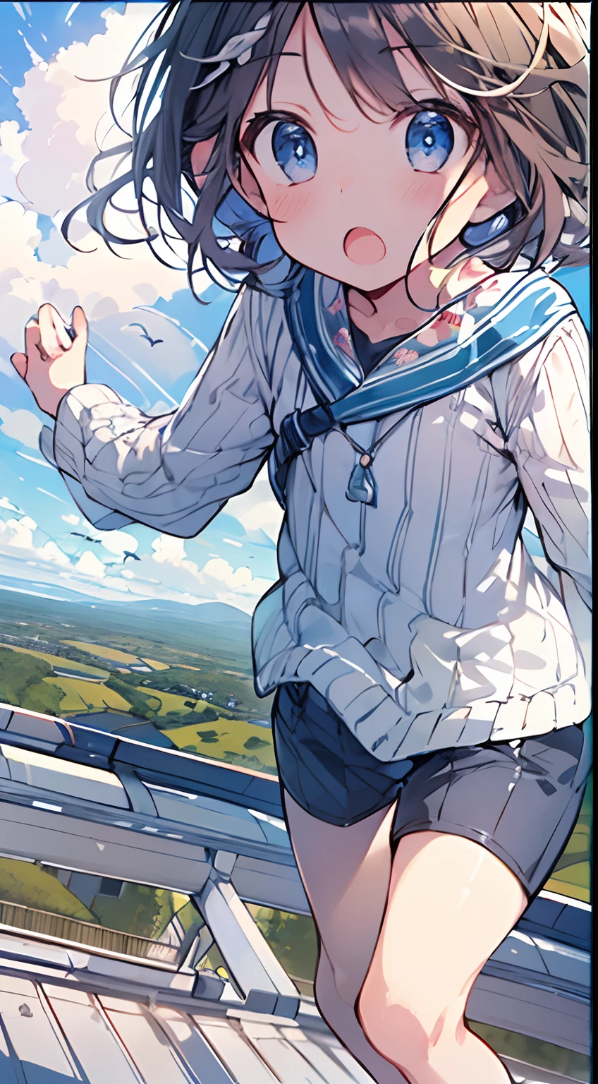 masutepiece, Best Quality,Illustration, Wallpaper, Ultra Detail, absurderes, 1little girl, (Medium short hair、short braided hair), Beautiful ultra-detailed eyes , Hair fluttering in the wind、:o、Smaller head、Beautiful sky、(a panoramic view:1.5)