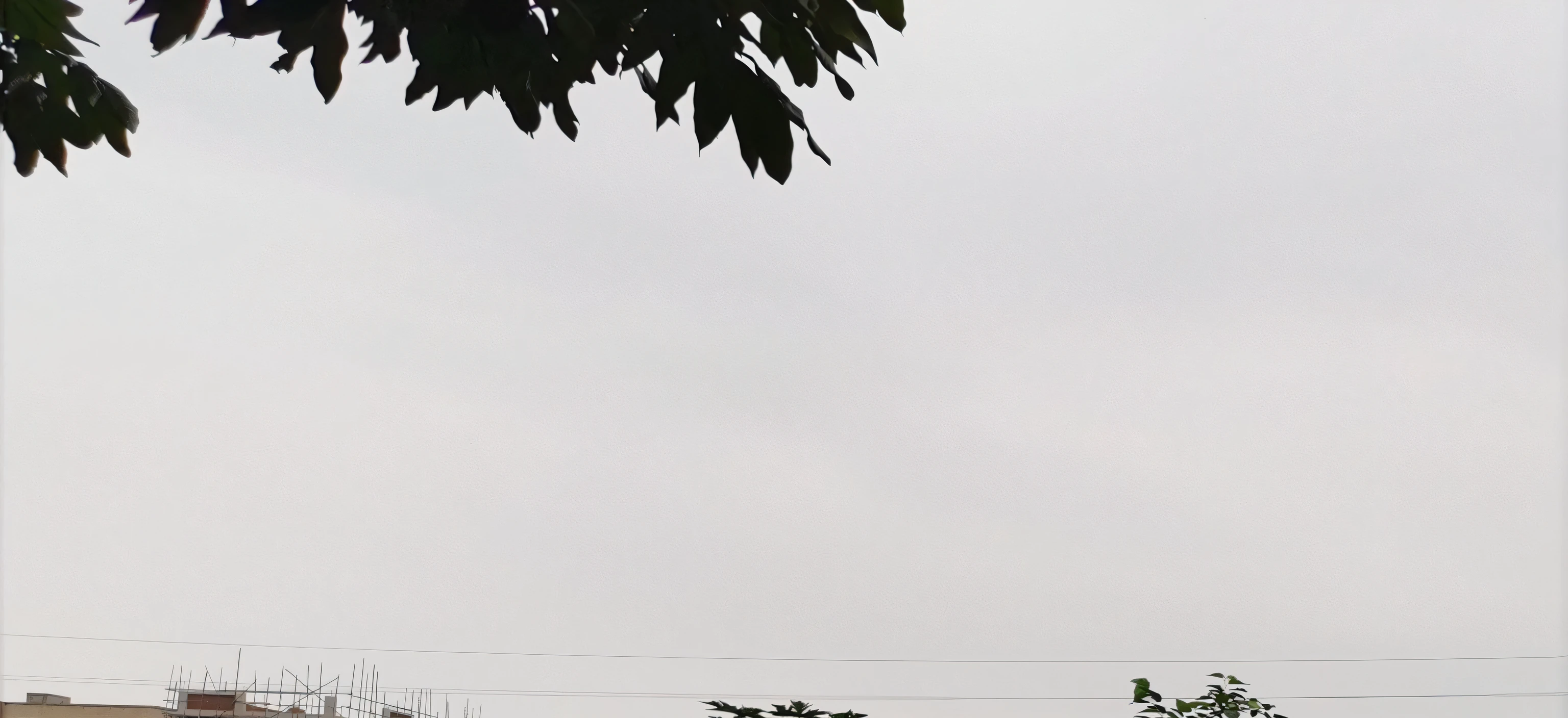 There was a woman standing on the bridge with an umbrella, makeshift houses, makeshift houses, very poor quality of photography, big long cloth on the wind, visto ao longe, bad-quality, viewed in profile from far away, against the backdrop of trees, Seen from a distance, background is a slum, visto ao longe, beside a river, near a river
