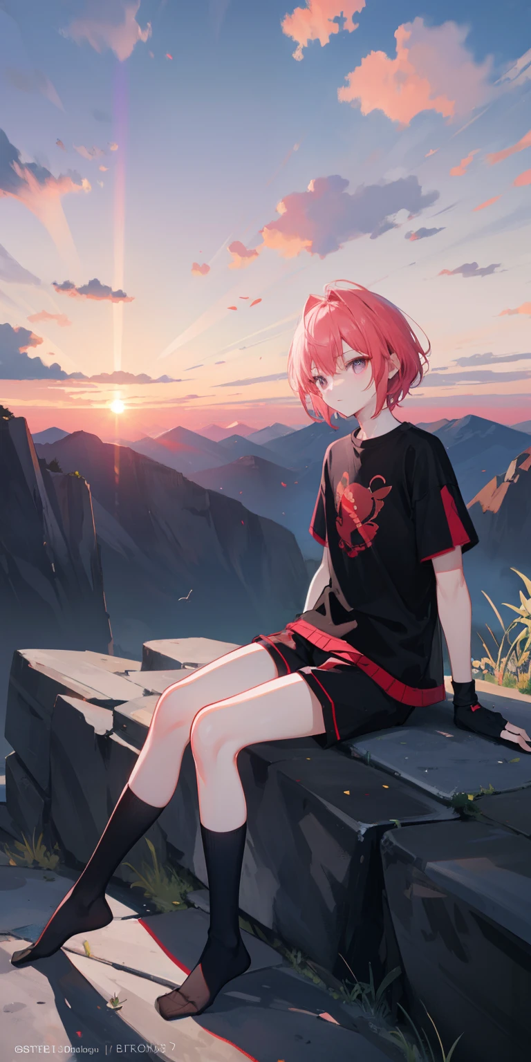 (A turtle)、red fox、sitting on the stone、(Shota)、Red and white hair、Very good figure、Handsome、adolable、Light:Extreme light and shadow、Reflective skin、Reddish skin、Black short-sleeved T-shirt、Wear black knee-length socks、Wear black fingerless gloves、Black shorts、Under the pink sunset、Outdoor sunset、Purple clouds
