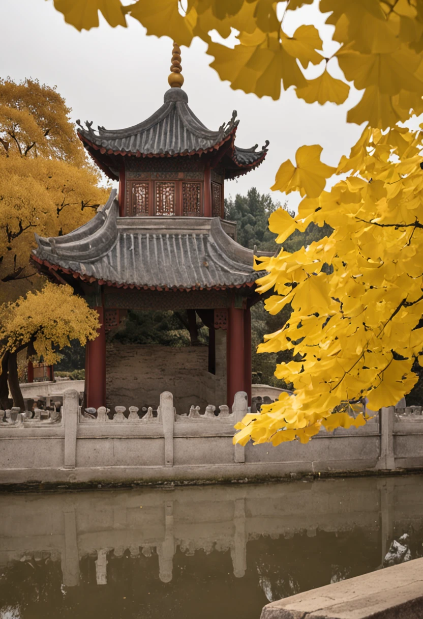Ginkgo leaves fall on a ginkgo tree,Golden leaves,Ancient Chinese architecture,In the center of the picture is a coffee table and a pot of tea