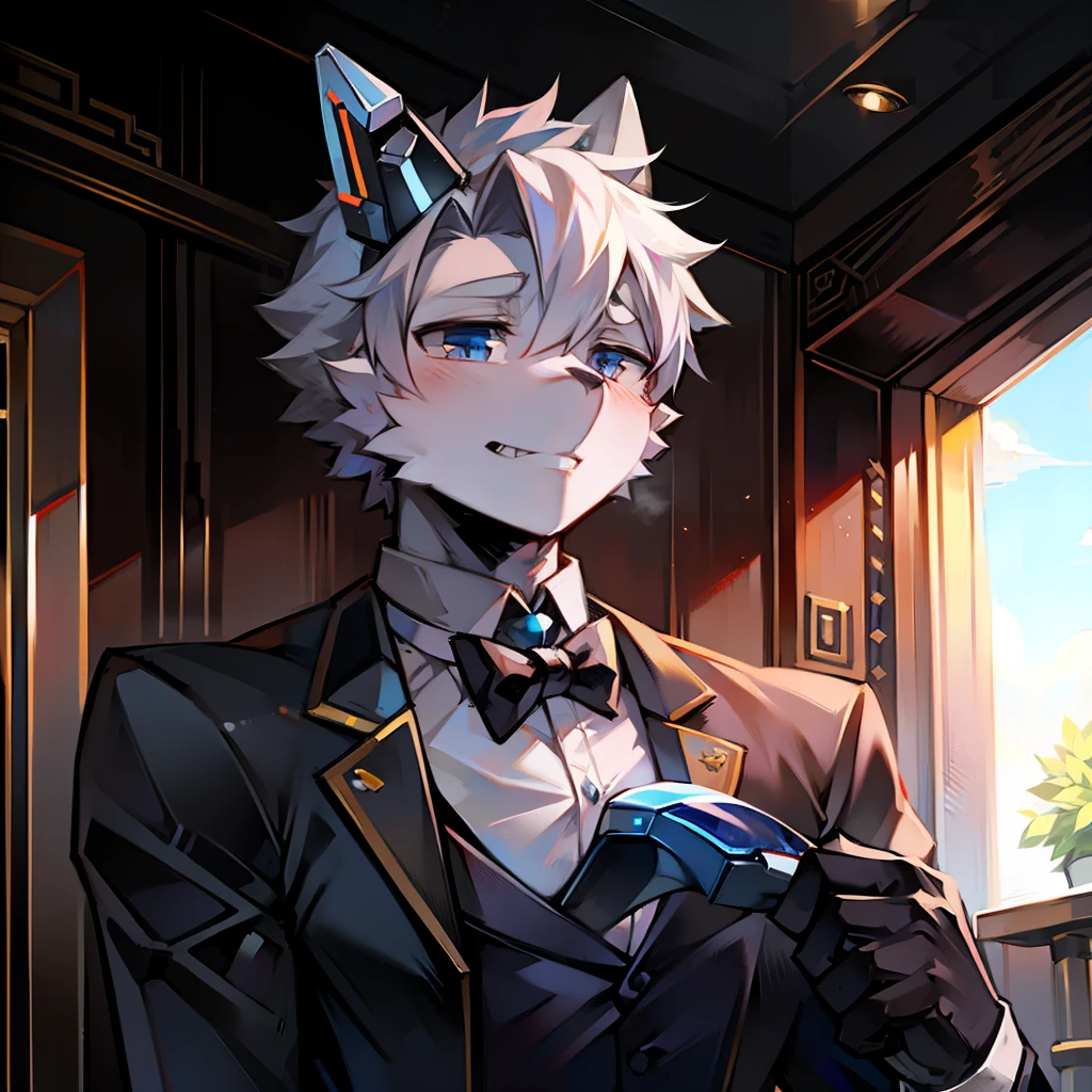 Robot butler