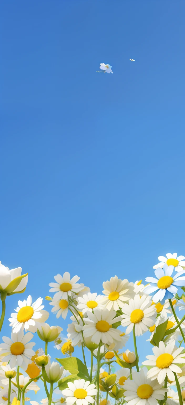 The blue sky is set against many white and yellow flowers, Flower background, summer clear blue sky, flowery wallpaper, florest background, minimalistic background, background is heavenly, Margaret flower,Use point clouds