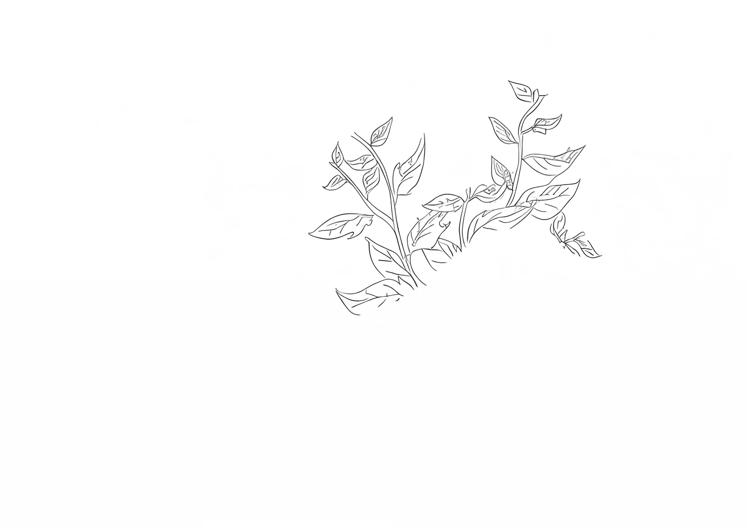There is a picture of a plant,There are leaves on it, Line - Art, Line art, Outline sketch, outline art, some plants, some plant life, dessin au trait, linear art, fine line art, Simple lines of art, drawn with a single line, made with illustrator, Simple line art, single line drawing, one - line drawing, vegetable foliage,maximalist details,Storybook style illustration,inspired by Emperor Huizong of Song,Ultra-flat feel,The lines are black,Monochrome performance,In particular, Highlight the black and white manuscript effect,The background is predominantly simple,Painting with white background as background,Line drawings