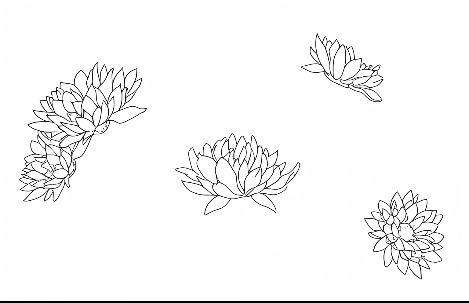 chrysanthemums，There is a drawing of chrysanthemums, Line - Art, Line art, Simple lines of art, drawn with a single line, Simple line art, single line drawing,