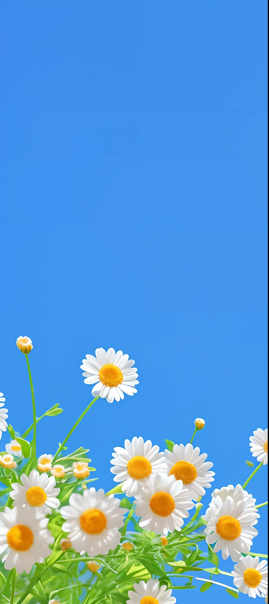 There are many white and yellow flowers in the grass, Desktop background, Desktop wallpaper, wallpaper - 1 0 2 4, wallpaper mobile, Daisies, minimalistic background, Relaxed. Blue background, background is heavenly, Simple background, summer clear blue sky, Computer wallpaper, iphone wallpaper, wallpaper hd, vertical wallpaper, minimal background, iPhone background, phone background, Plain background