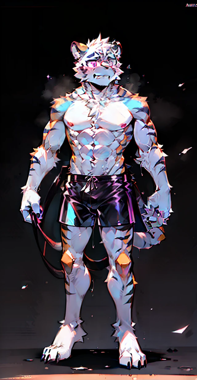 (solo person，Male tiger，Mature male，Abs)，((amarelo，White fur color))，Purple pupils，werecreature，((独奏))，((with black background))，((Stand up))，（Be wary of demonstrations），serious-expression，Sharp eyes，Tech shorts，（（Men's strong black pvc latex cat black wet appearance full tights））