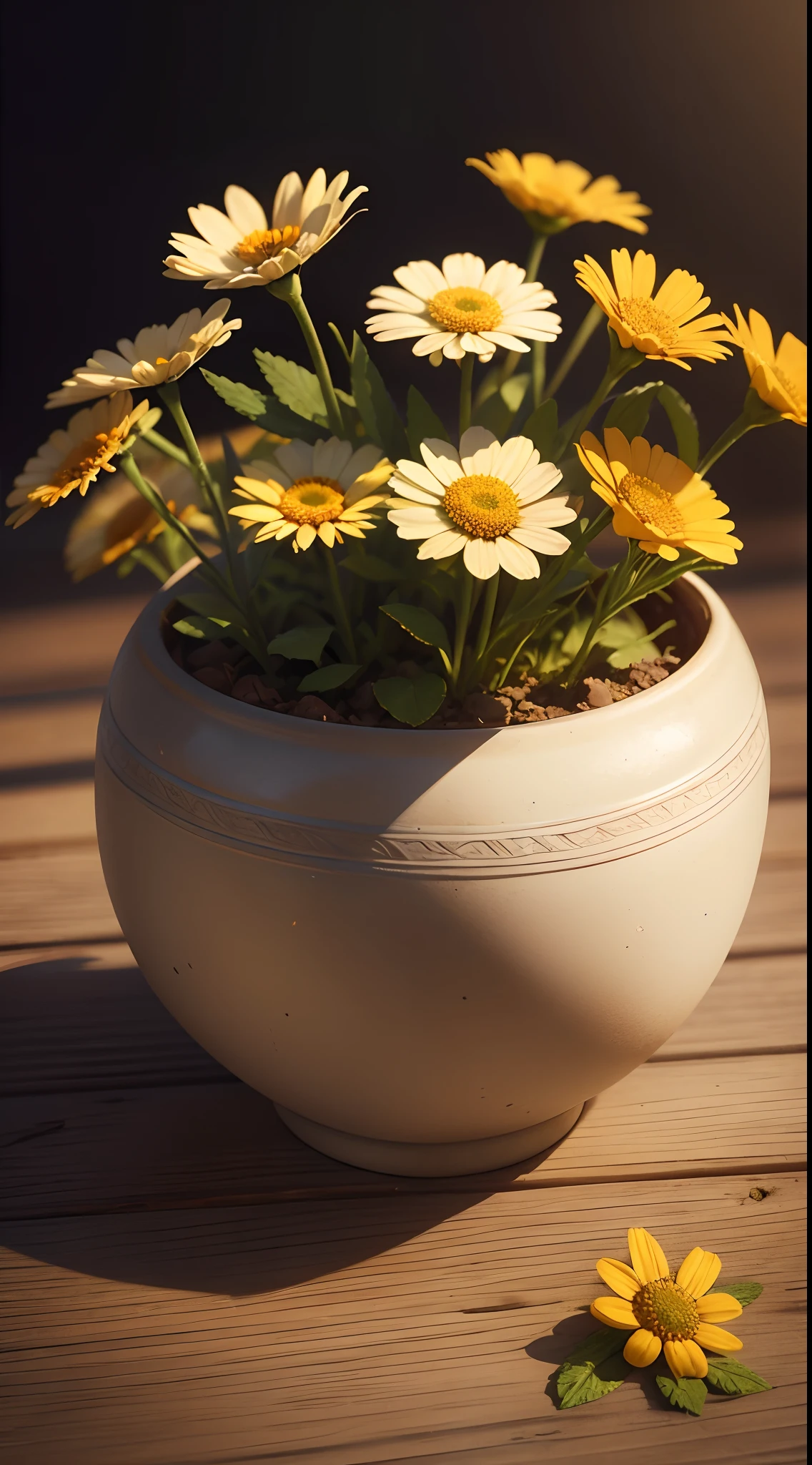 flower, camomile, plant, Medicinal herb, Nature, rendering, Photorealistic, Ultra HD, 4K, Detailed textures, Detailed colors, Realistic shadows, Detailed shadows, Detailed textures, Sunset,