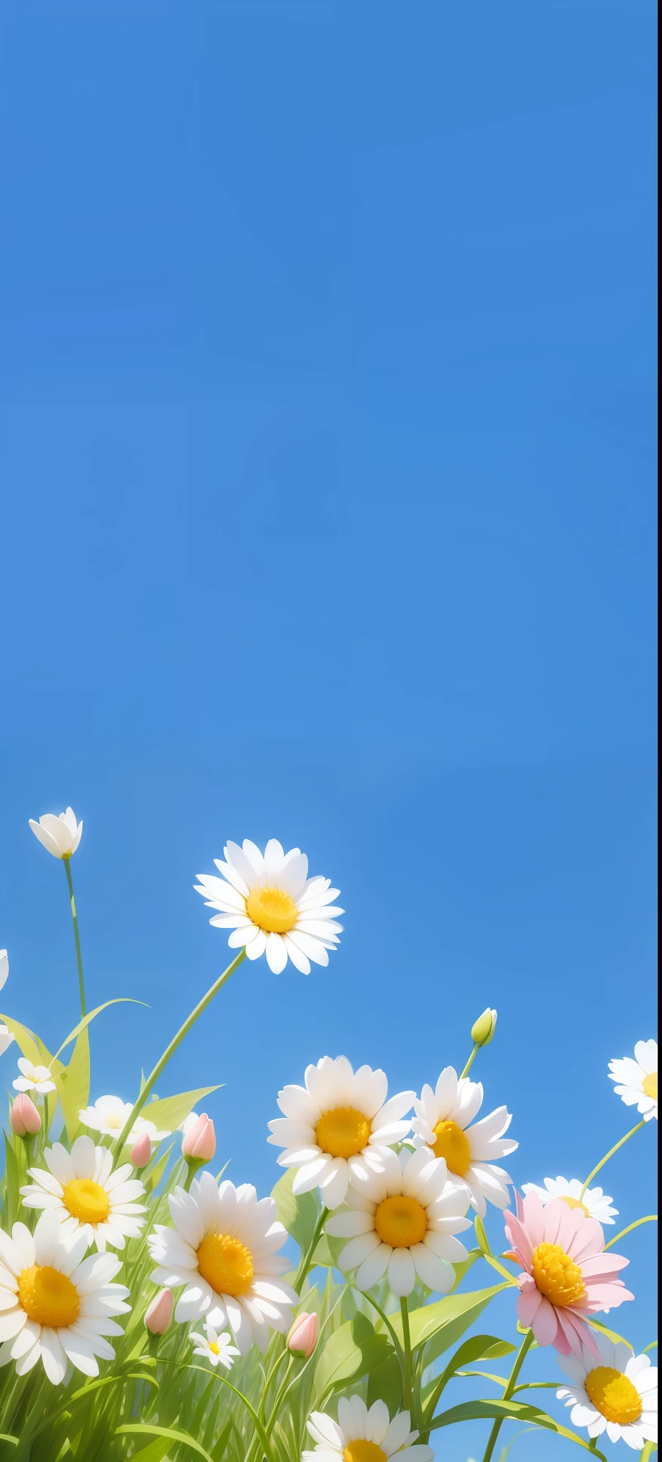 White flowers,Hazy background,and the sun was shining brightly,high detal,Perfectcomposition,first person perspective。