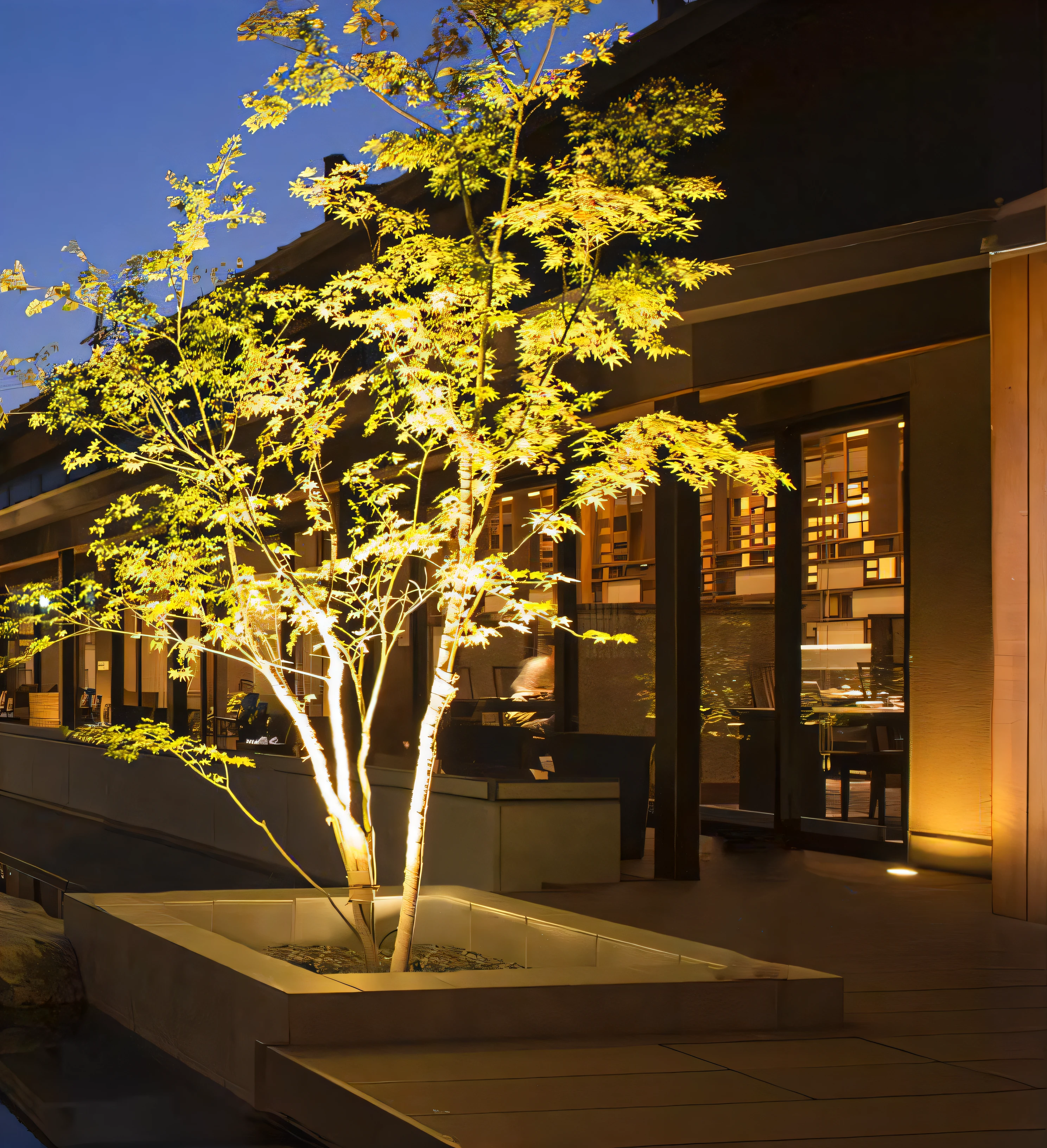 There is a tree that is lit at night, paisible night lighting, Ambient lighting at night, Softly filtered outdoor lighting, outside lighting, high-end onsen, outdoors lighting, sakura season dynamic lighting, Lighting lighting, Night lighting, summer lighting, Stereoscopic outdoor lighting, outdoors lighting, local illumination, uplit, night time lighting