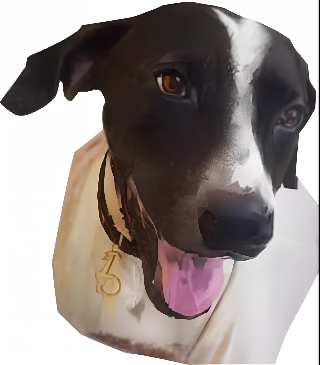 diagrammatic portrait, 8k, hyper-realistic, anime cartoon style