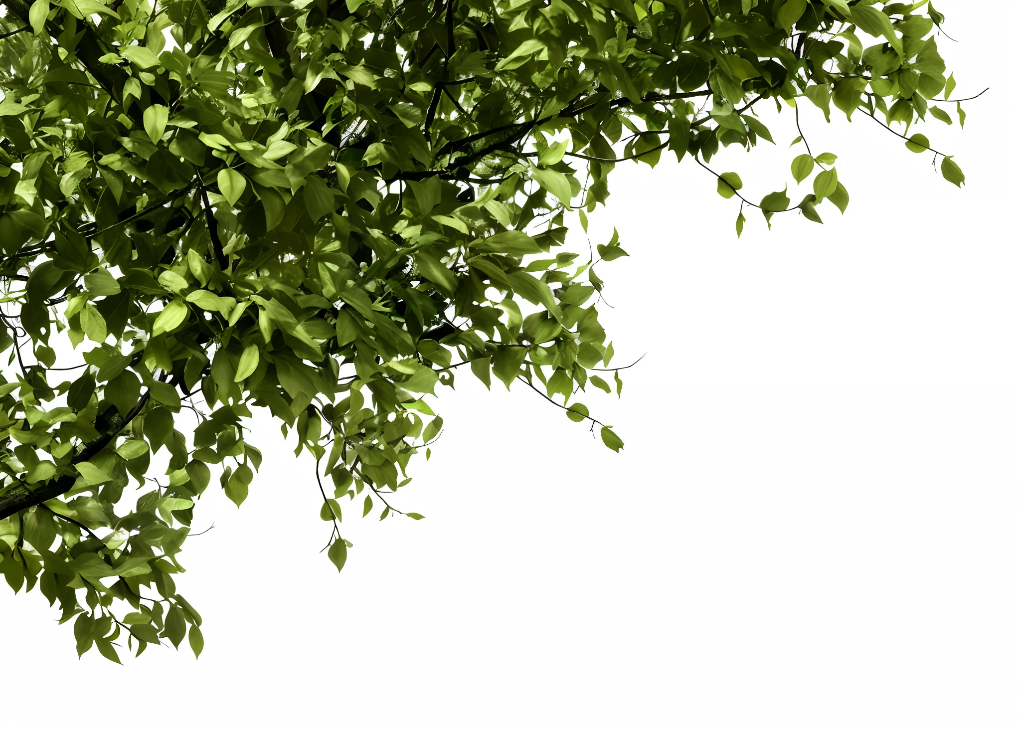 Branches in the sun, branches and foliage, cyberpunk in foliage, Cubist painting of a tree, woody foliage, Foliage, green leaf, Architecture with Ye Tong, highly detailed green leaves, zoomed out to show entire image, highly detailed leaves, leaves in foreground, hyperdetailed twigs and plants, overgrown foliage