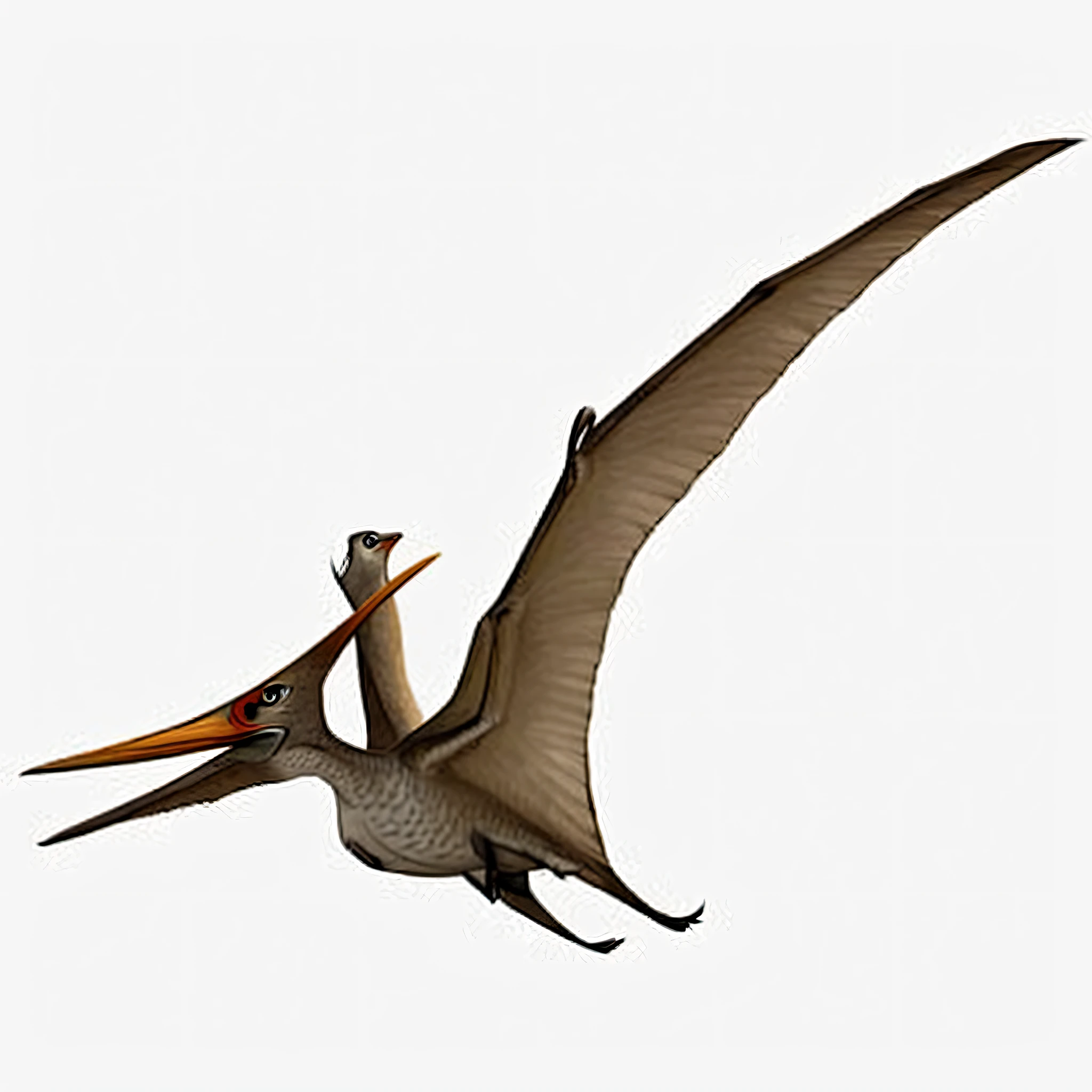 arafed bird flying in the sky with its wings spread, pterodactyl, Pterodactyl flies, Pterosaur flying, large wingspan, Cartoon Ultra HD