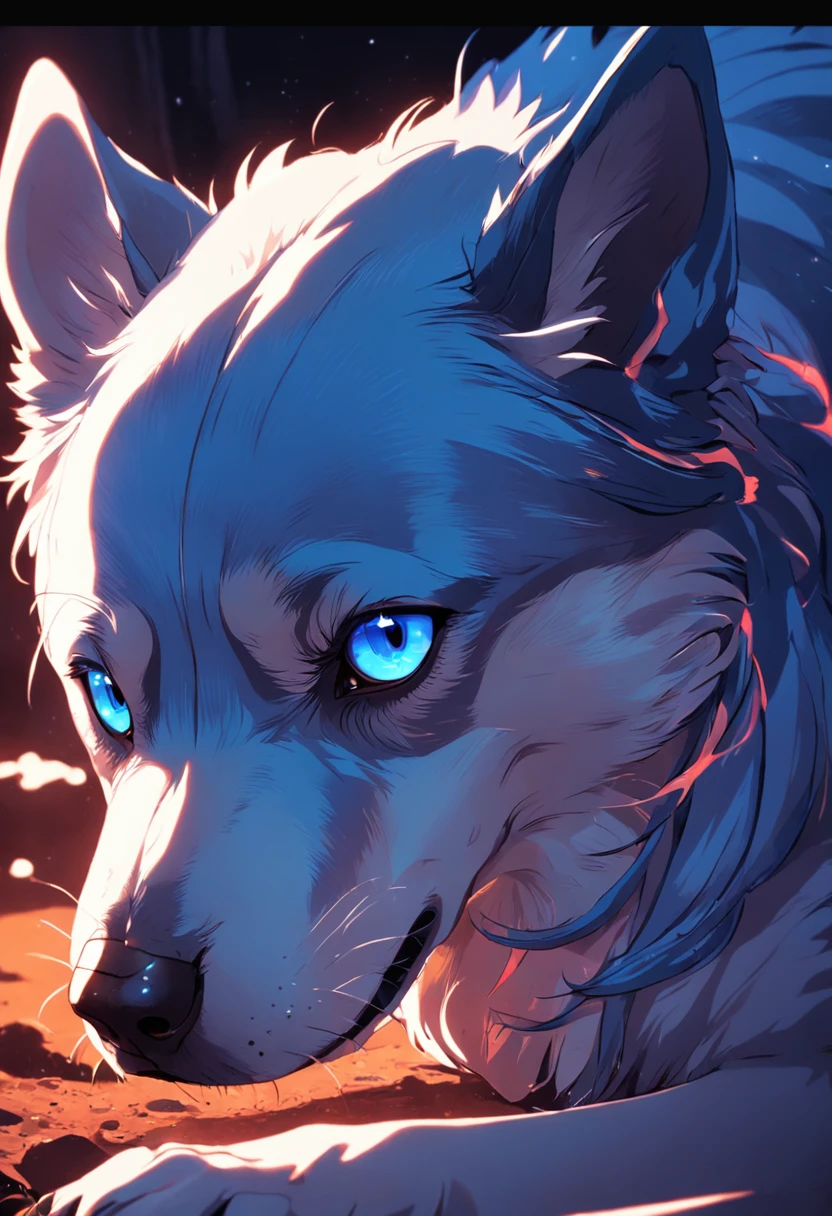 el perro,Color azul,depredation,blood vessels,oscuridad,con luz brillante,posando