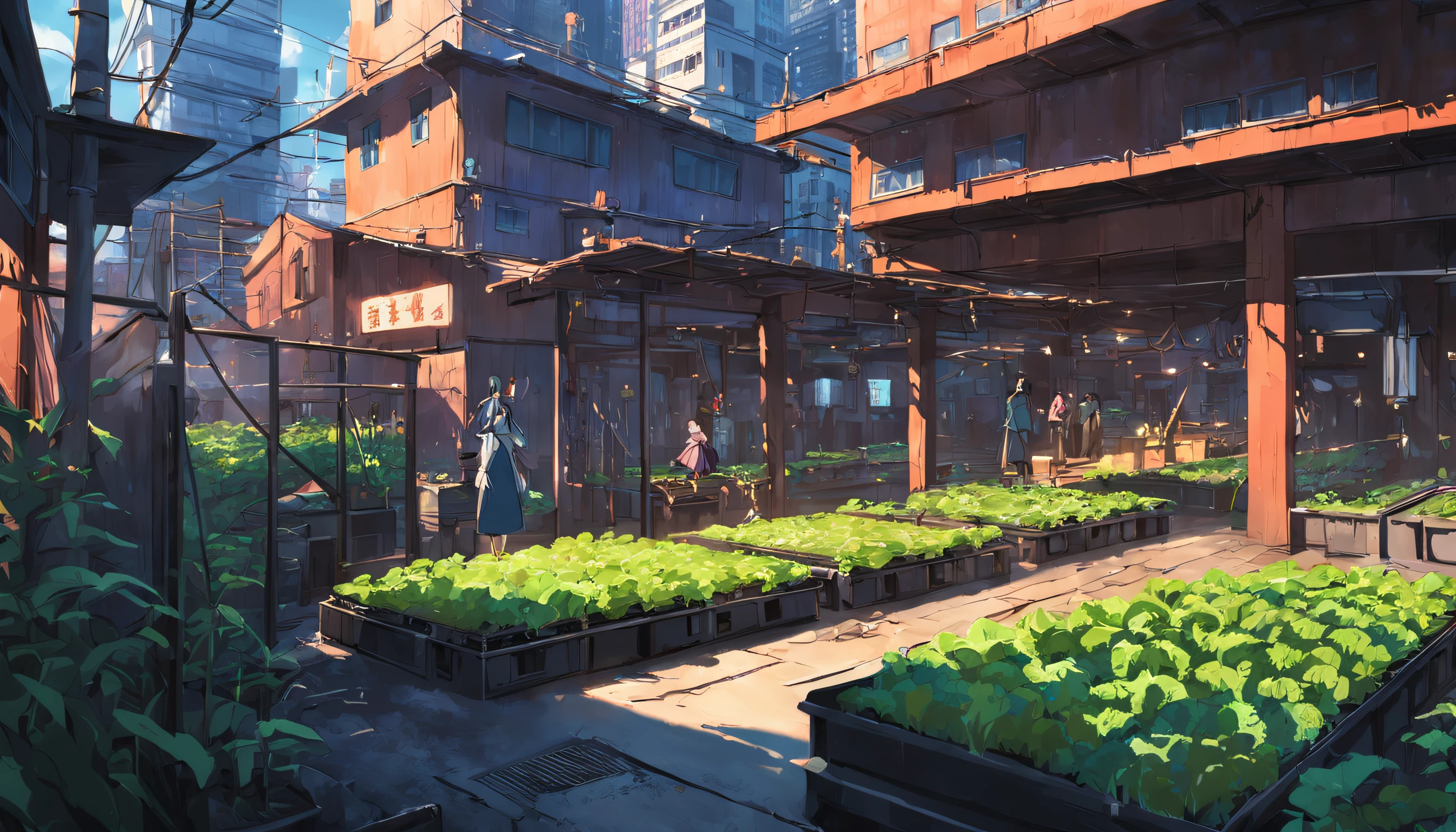 城市, On the rooftop, Urban farm, Urban living, Sustainability, tie