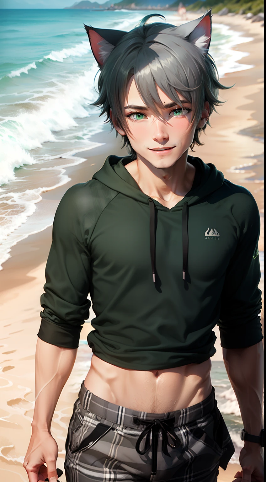 A boy with black hair，Emerald green eyes，Wearing gray-black plaid pants，Wear a dark green sweatshirt，Wearing gray plaid pants，He wore a sunny and cheerful expression，There are cat ears，There is a cat tail，Fine skin texture，perfect bodies，Rich lighting and shadows，Delicate details，Clear outline，Beach and wave breeze，Upcoming beach party。