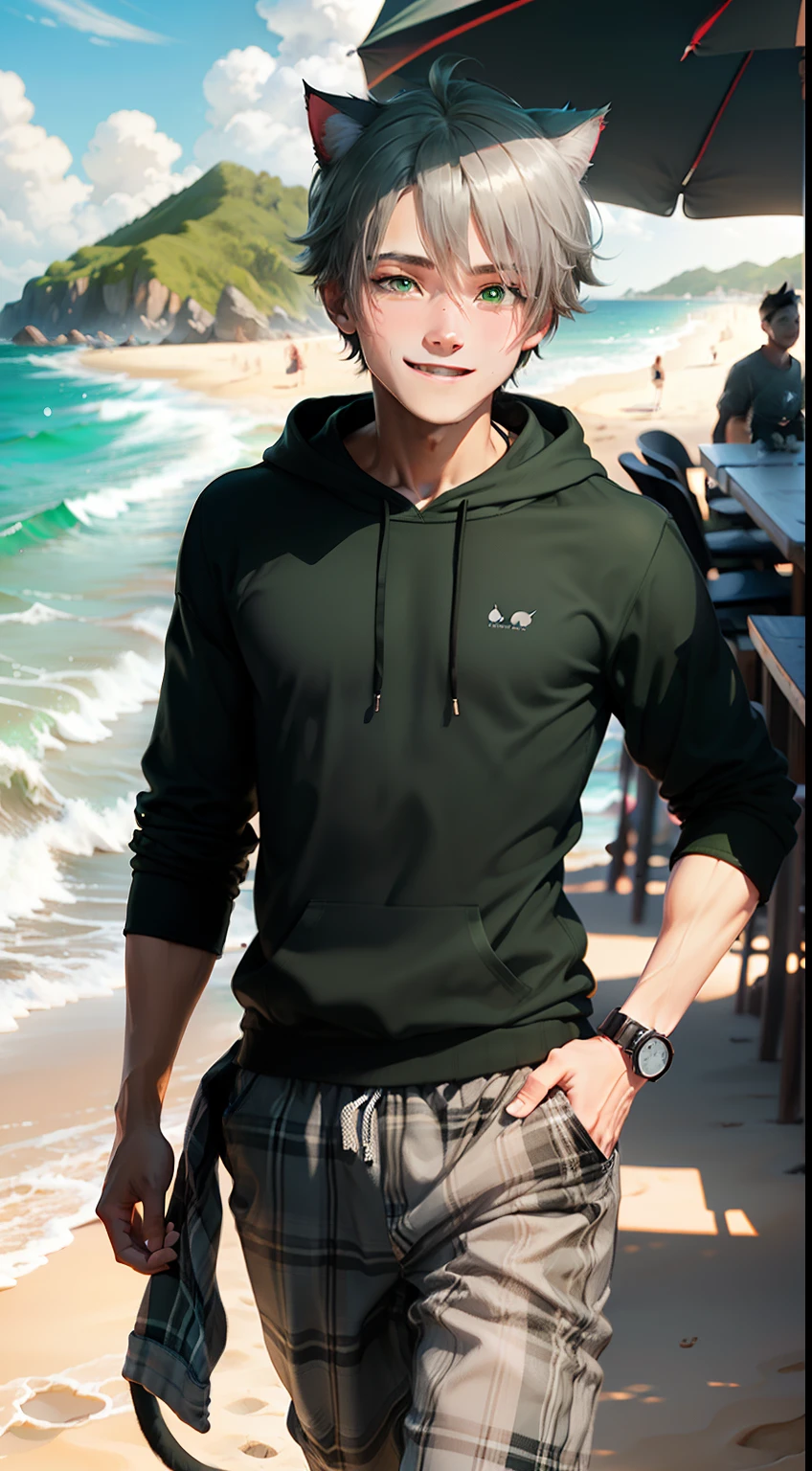 A boy with black hair，Emerald green eyes，Wearing gray-black plaid pants，Wear a dark green sweatshirt，Wearing gray plaid pants，He wore a sunny and cheerful expression，There are cat ears，There is a cat tail，Fine skin texture，perfect bodies，Rich lighting and shadows，Delicate details，Clear outline，Beach and wave breeze，Upcoming beach party。