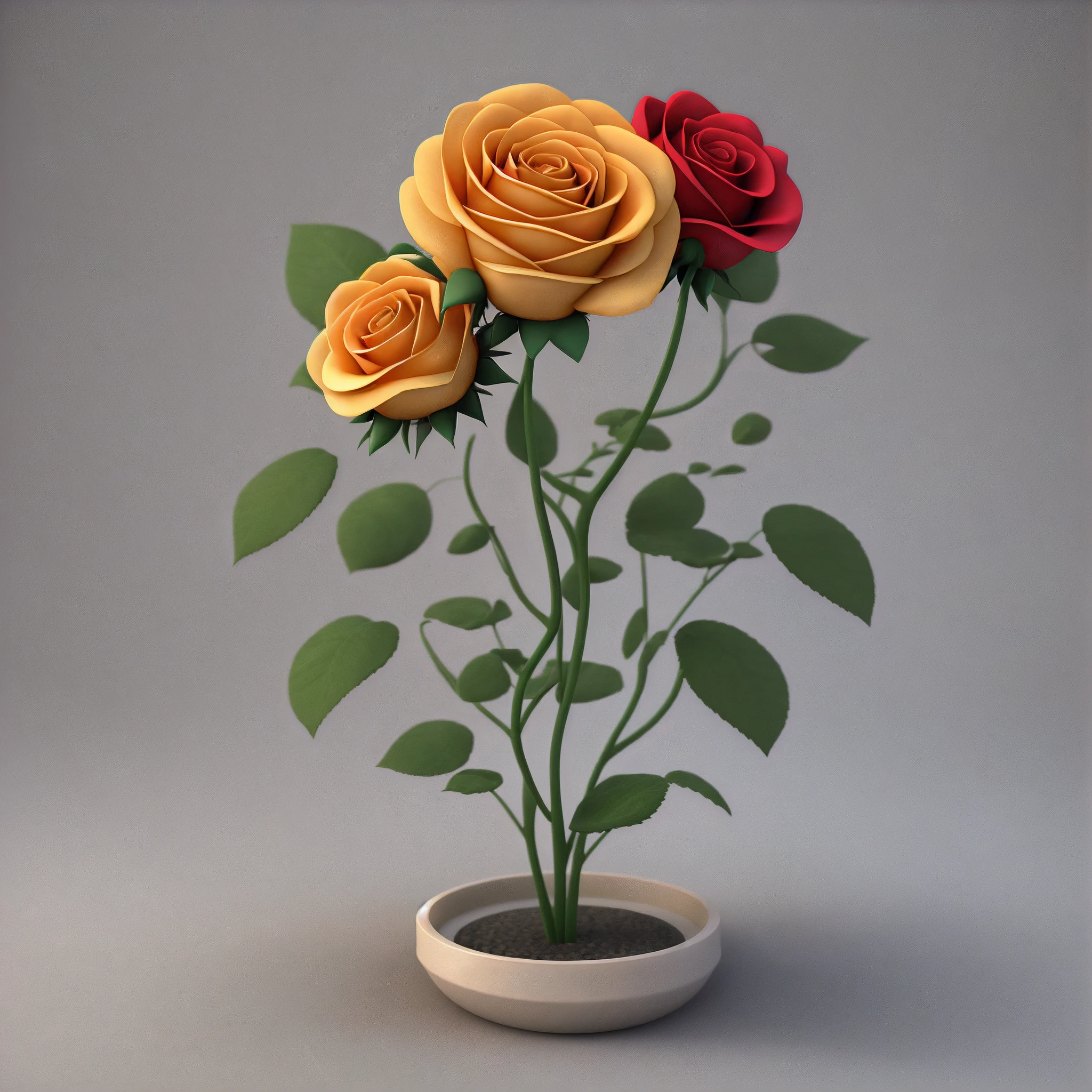 Rose flower，3D，solid