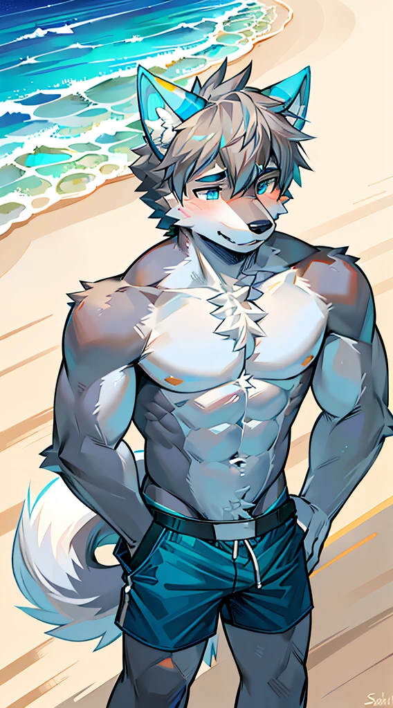 Single, Muscular, grey body, White belly, On the sandy beach,Wolf ears, Wolf tail, frontage,Short hair,Sunshine,Blue pattern swim trunks,beach,Ocean,high qulity,blue color eyes,Gray hair,high qulity